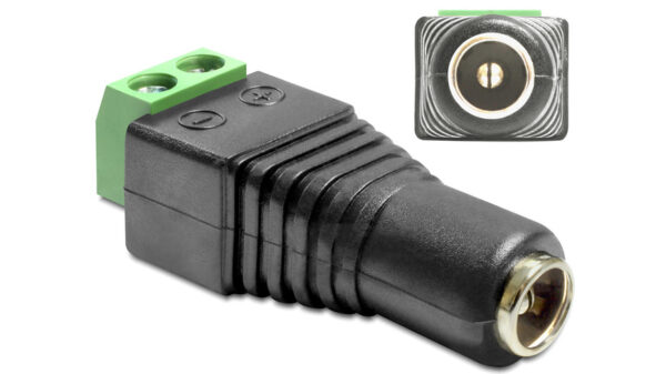 Delock Adapter Terminalblock DC 2,1 x 5,5 mm Buchse