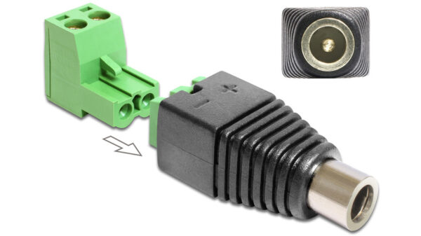 Delock Adapter Terminalblock > DC 2,1 x 5,5 mm Buchse 2-teilig