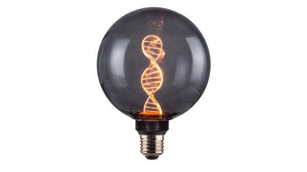 ENOVA LED Filament Leuchtmittel DNA